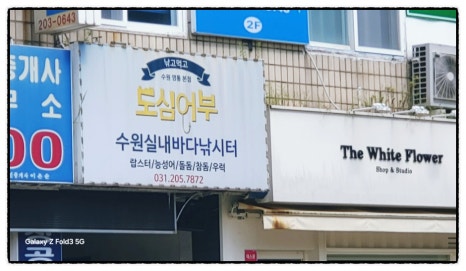 도심속바다낚시카페 이미지