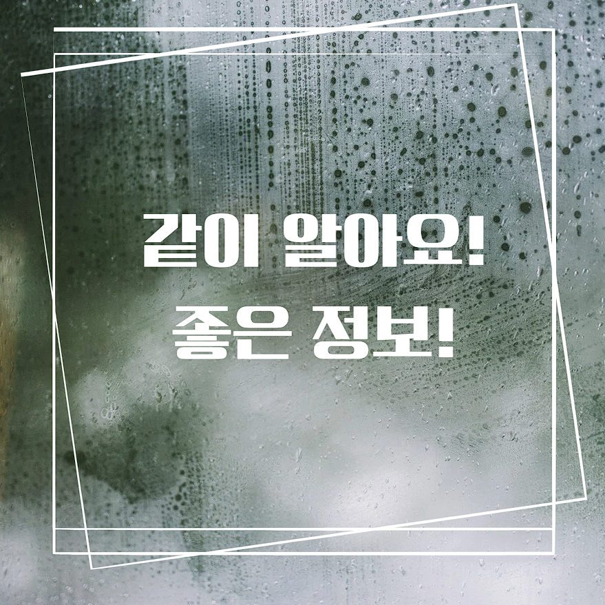 스윙엔터테인먼트 이미지