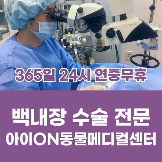 아이온메디칼 이미지