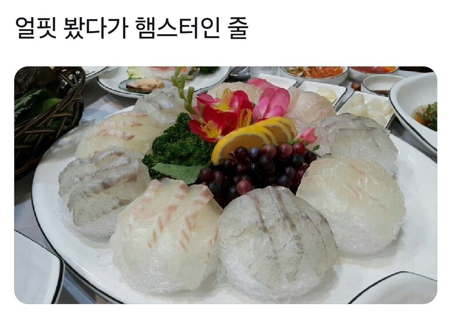 롬브 이미지