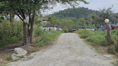주월교 이미지