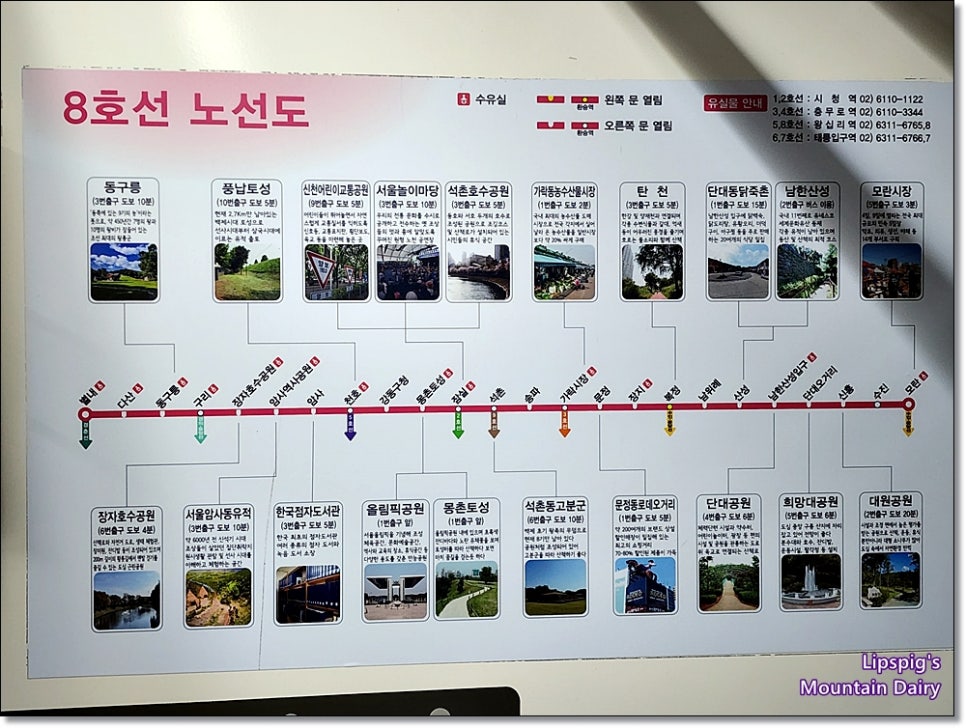신천농수산물 이미지