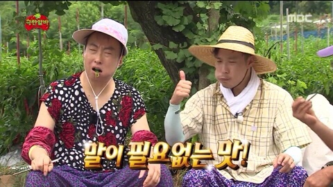 개성닭칼국수 이미지