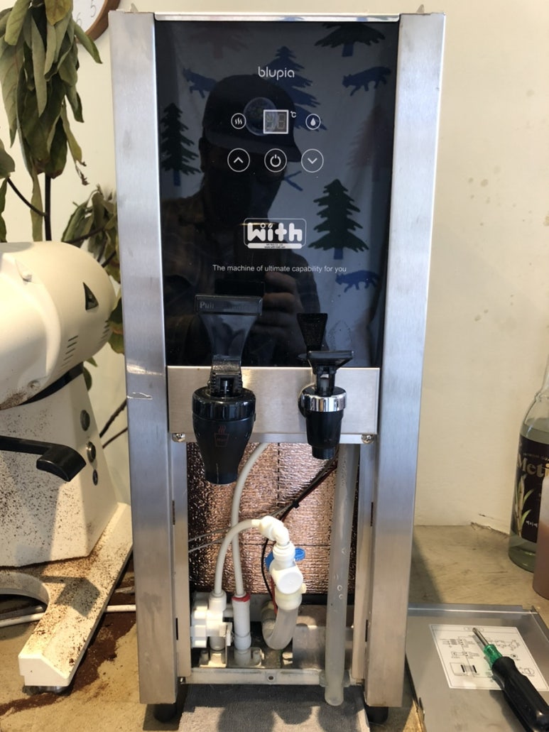 블루피아 이미지