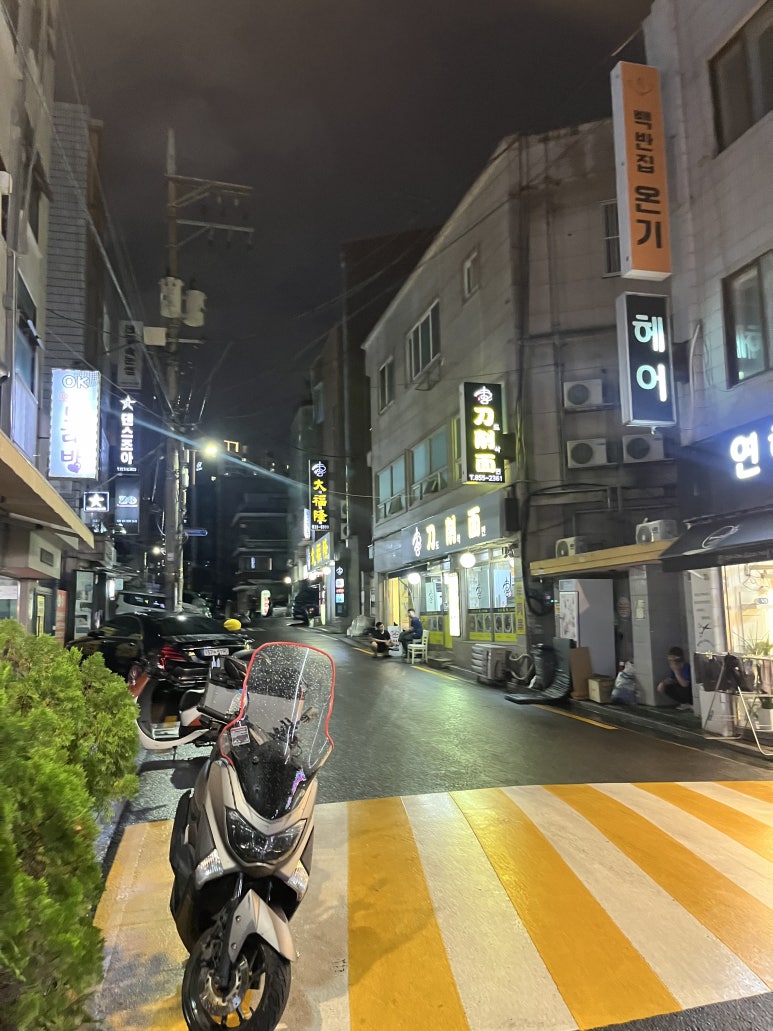 황금돈 사진 8