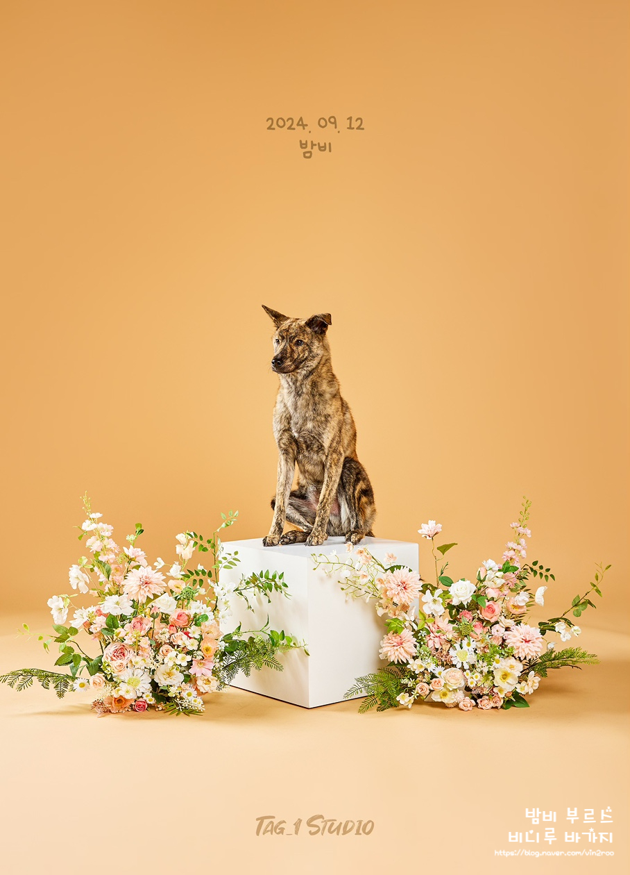 원스튜디오 이미지