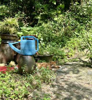 통나무민박2 이미지