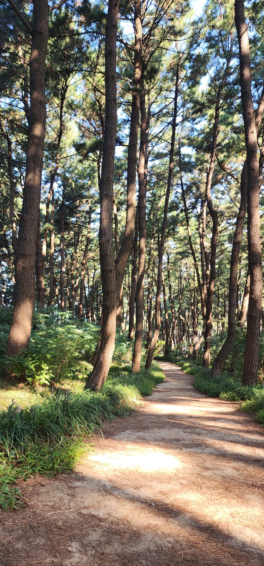 막스시오전주 이미지