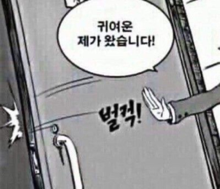 세화피크닉 이미지