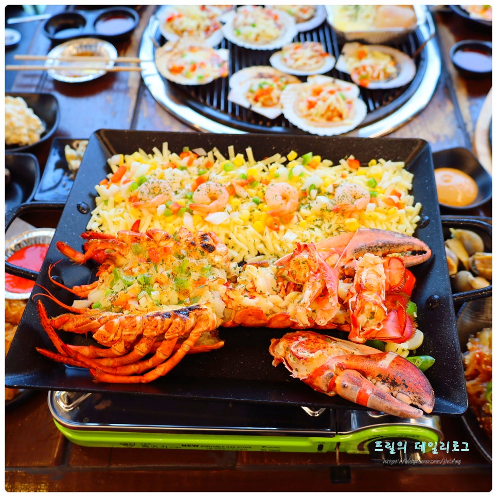 꼬니네회조개 이미지