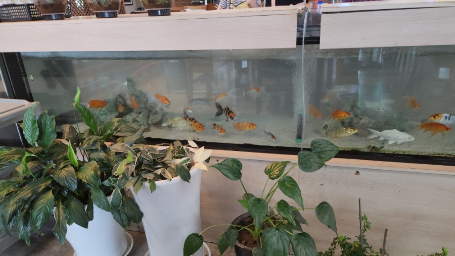 (주)남해수산 이미지