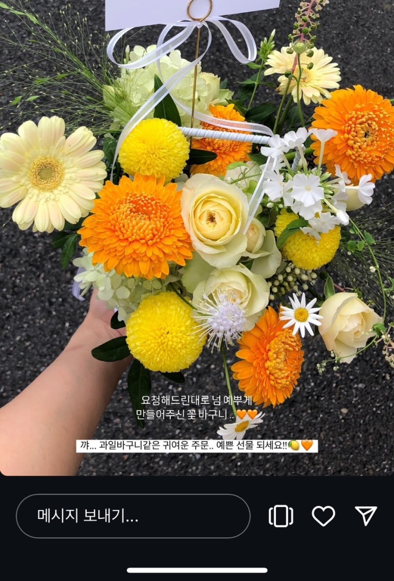 물들이다 이미지