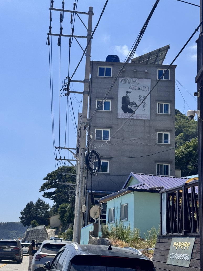 이스트독도 이미지