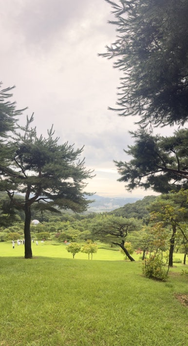 큐밥 이미지