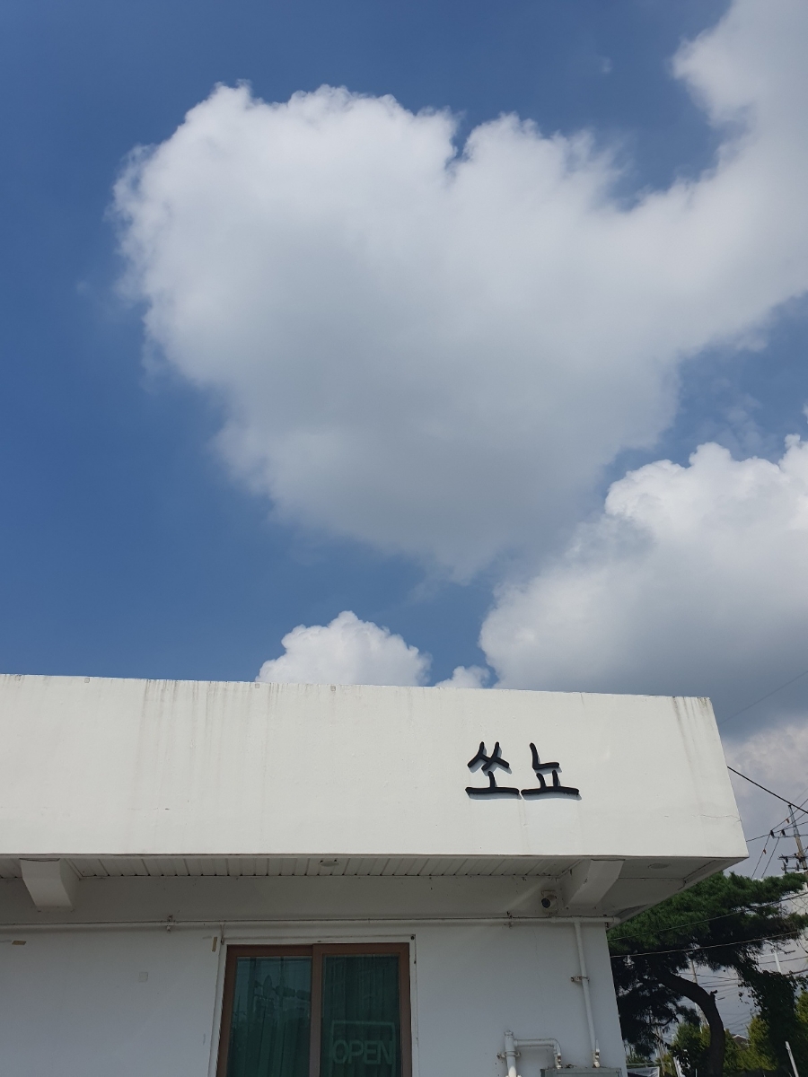 쏘뇨 이미지