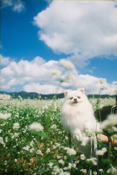혜성관광 이미지