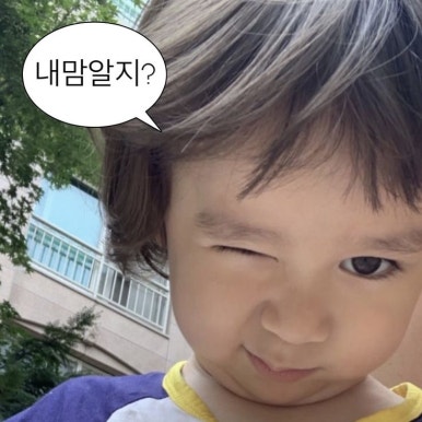 콩뿌각 이미지