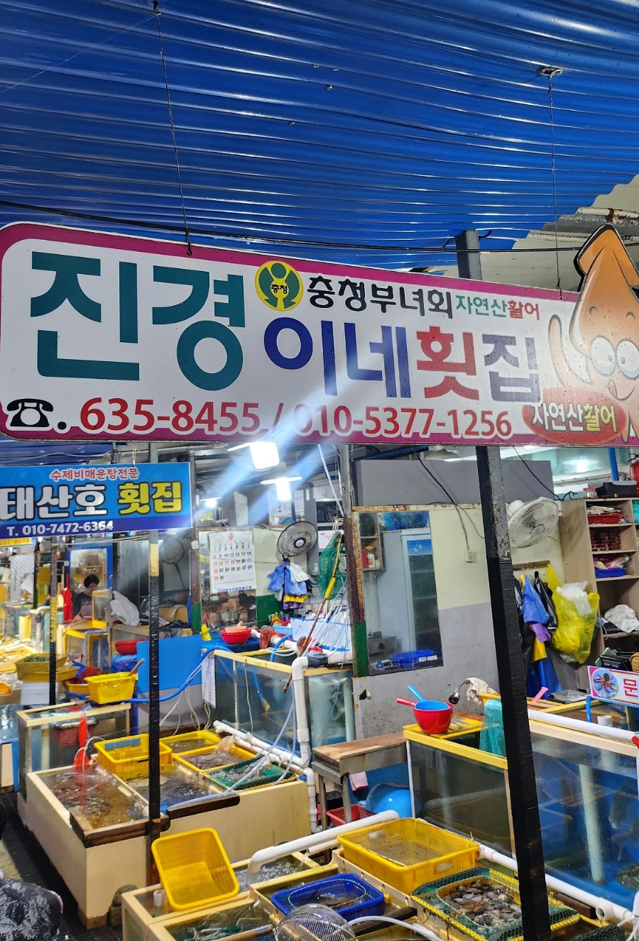 진경이네 이미지
