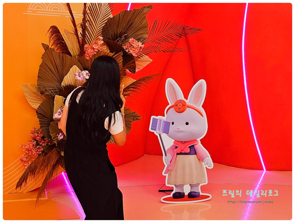 꼬니네회조개 이미지