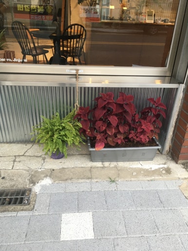 서희아구찜 이미지