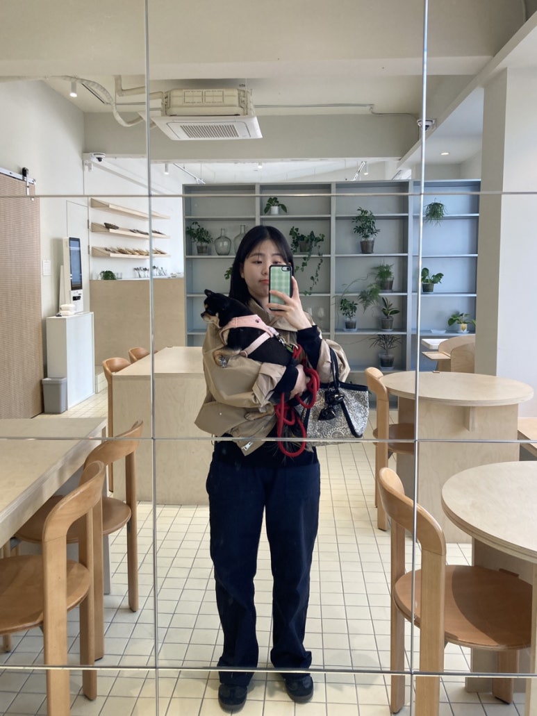 포레스테리어 이미지