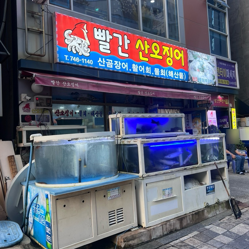 빨간산오징어 이미지