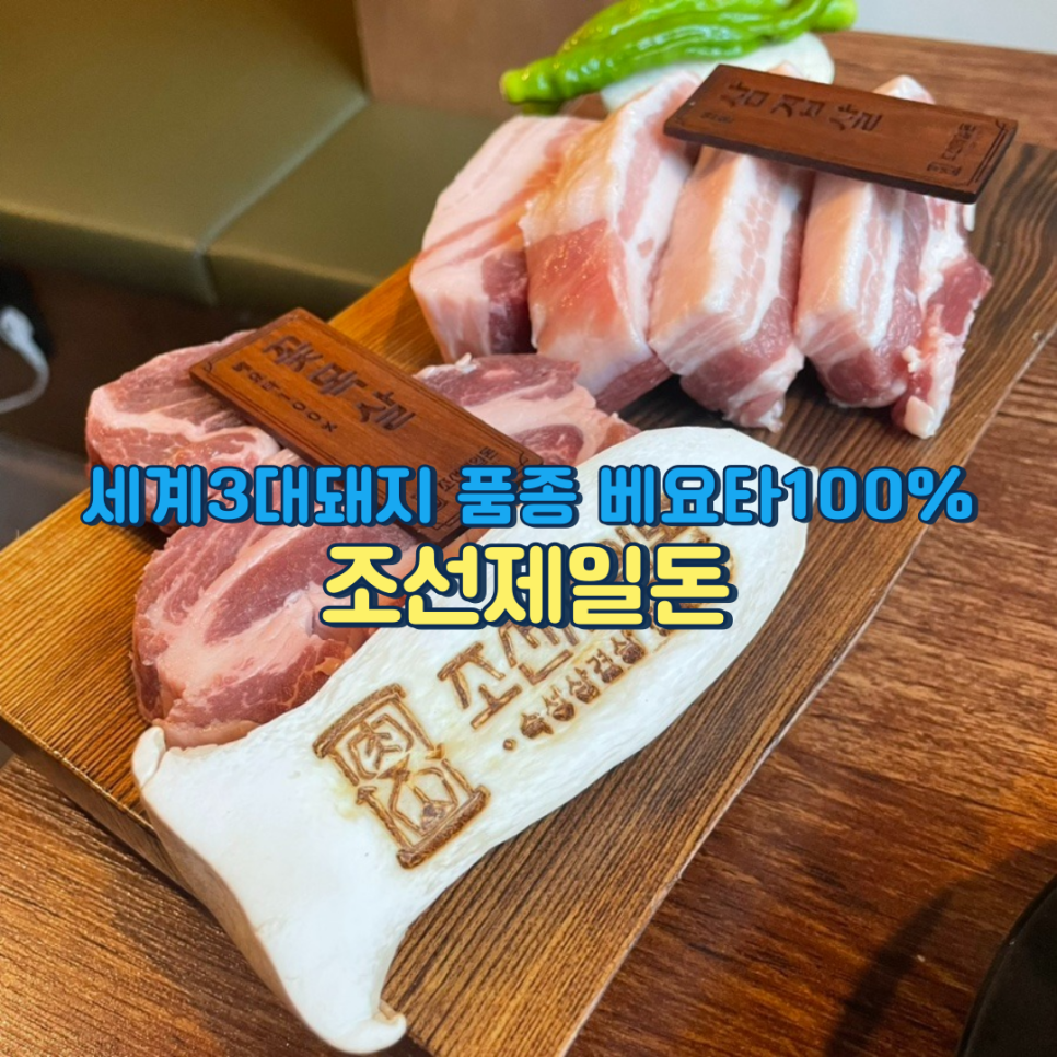 조선제일돈 이미지
