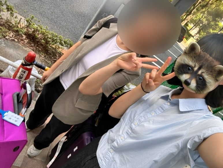 도쿄시스터 이미지