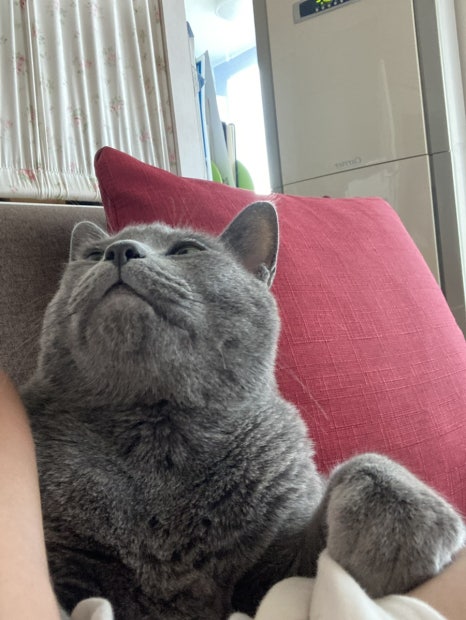 5바 이미지