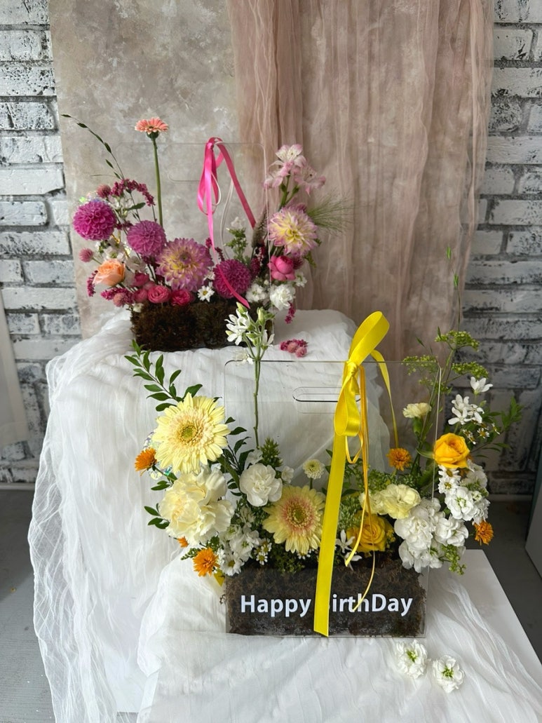 블랑드플레르 이미지