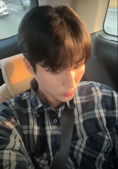 자민 이미지