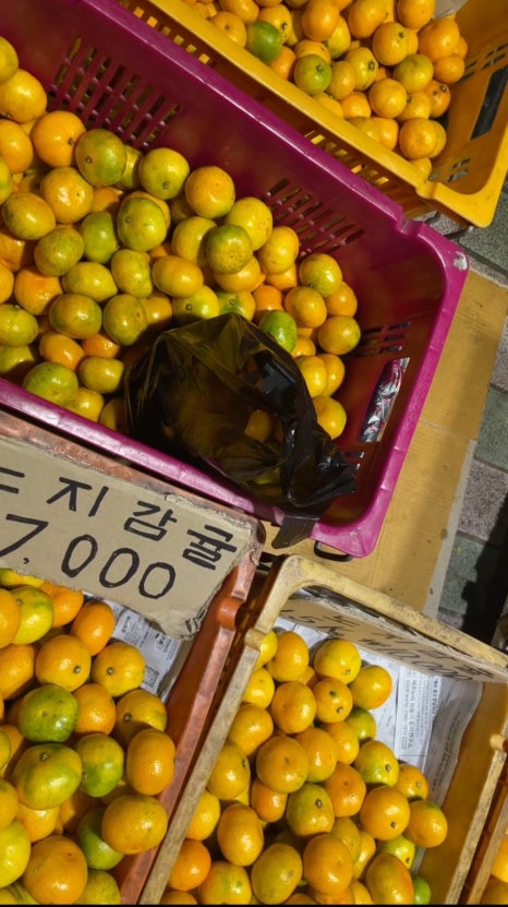 솔브제주 이미지