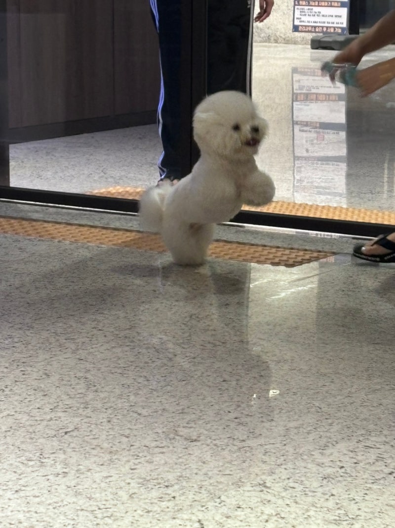파랑 이미지