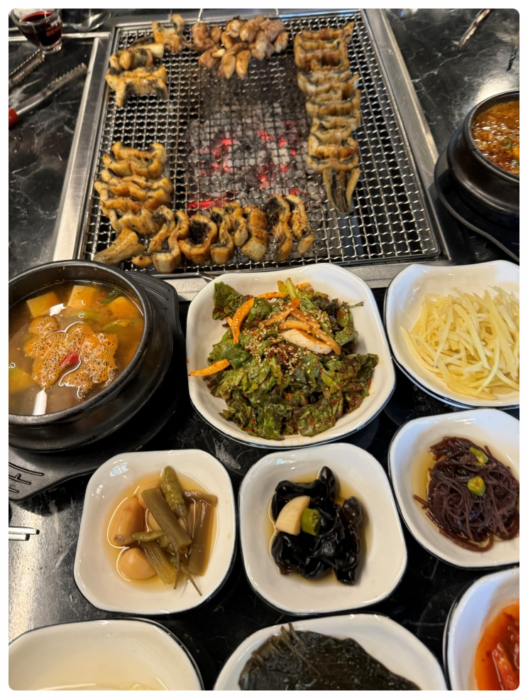 용마그집장어 이미지