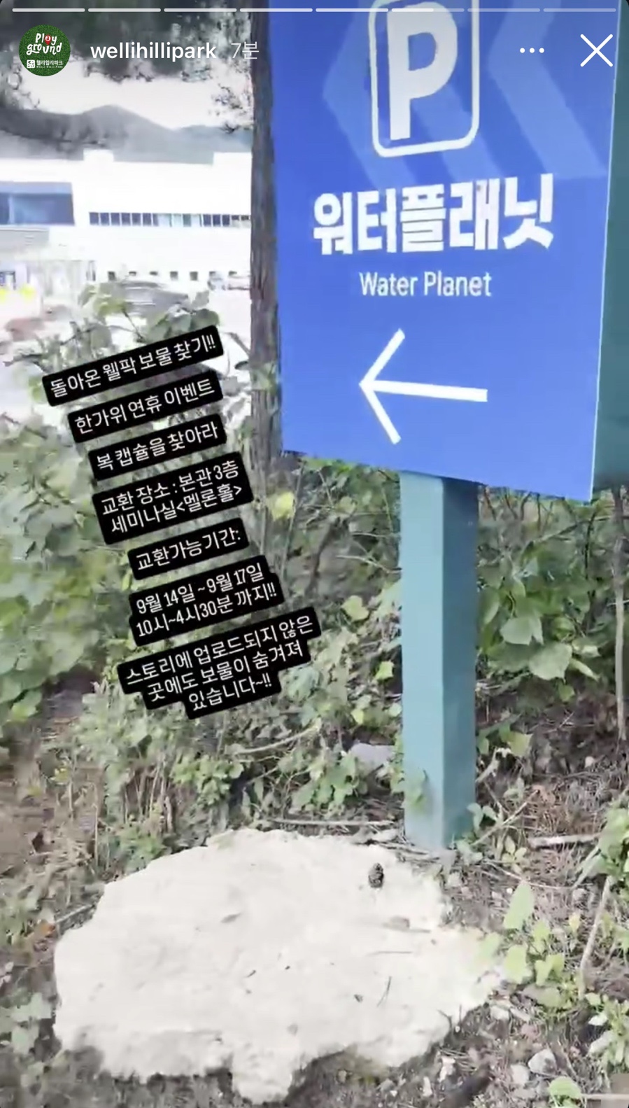 힐리 스토리 이미지