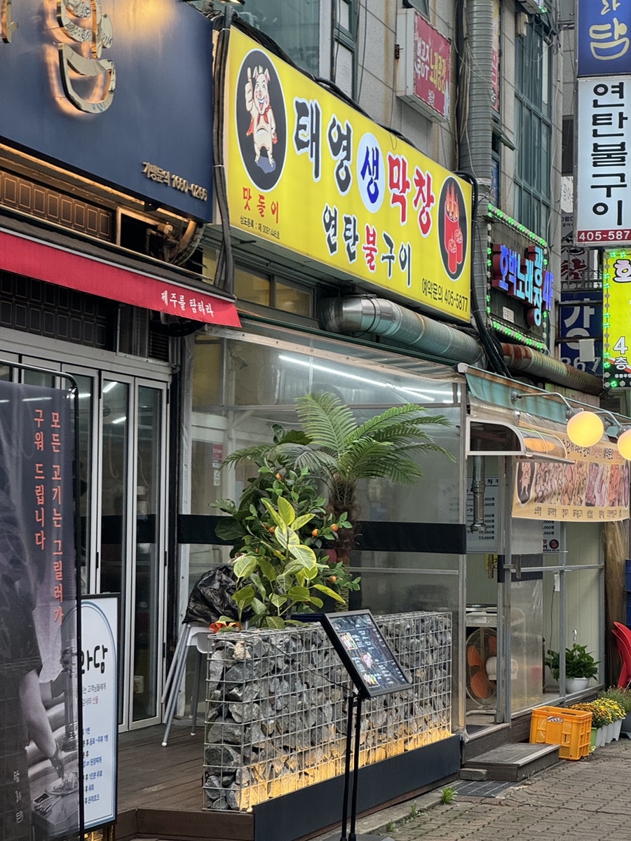 태영주유소 이미지