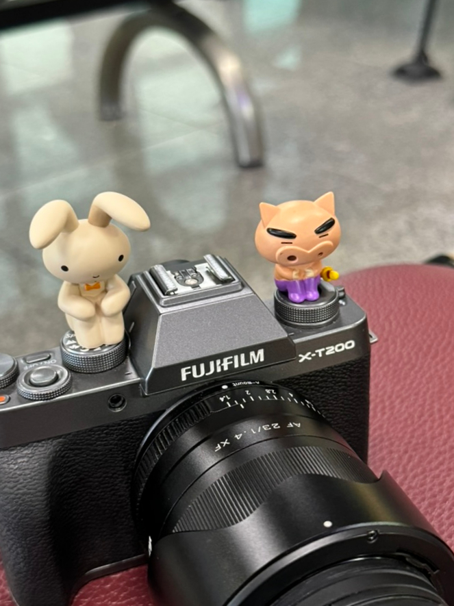 the 쫑포 이미지