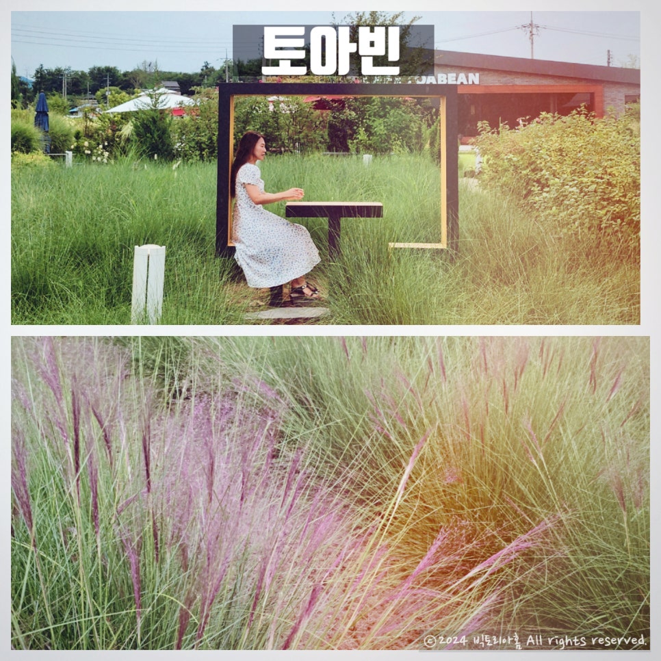 토아빈 이미지