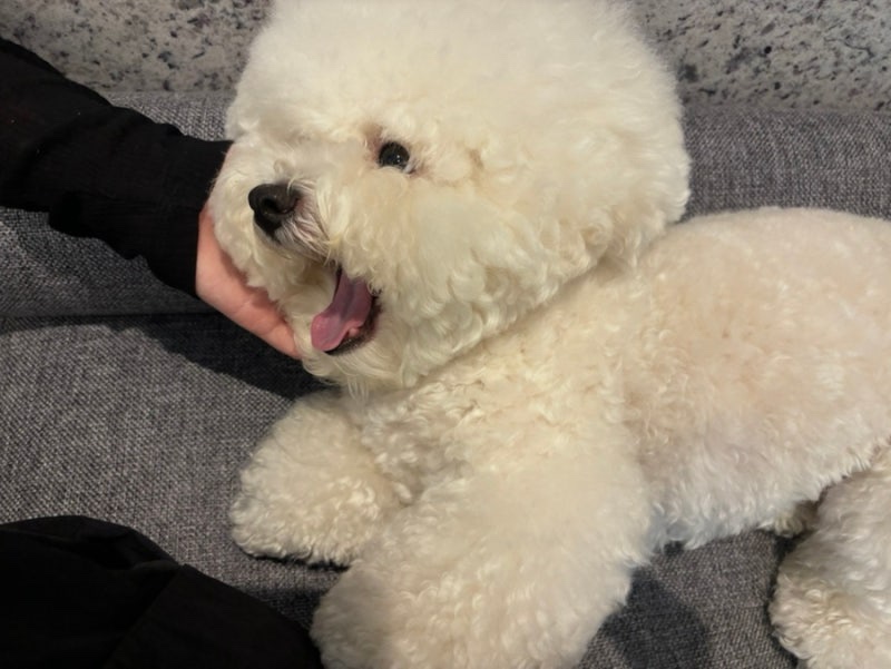 파랑 이미지
