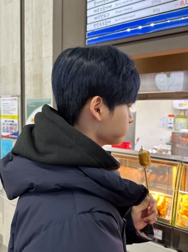 볼로그 이미지