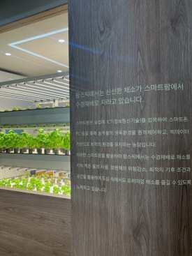 팜스픽 이미지