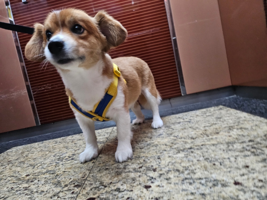 산희 이미지