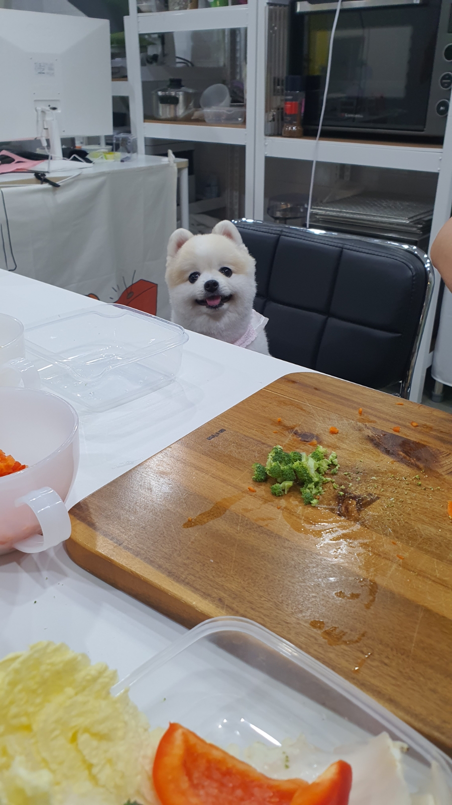 멍냥사랑방 이미지