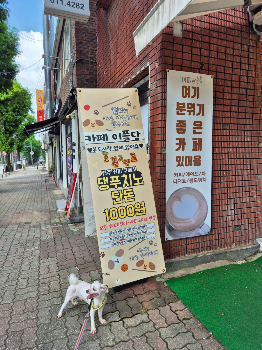 이플당 이미지
