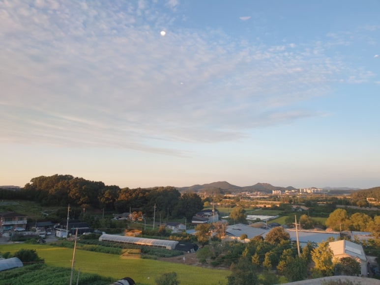 흥부상회 이미지