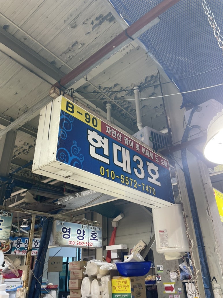 궁평항3호 이미지
