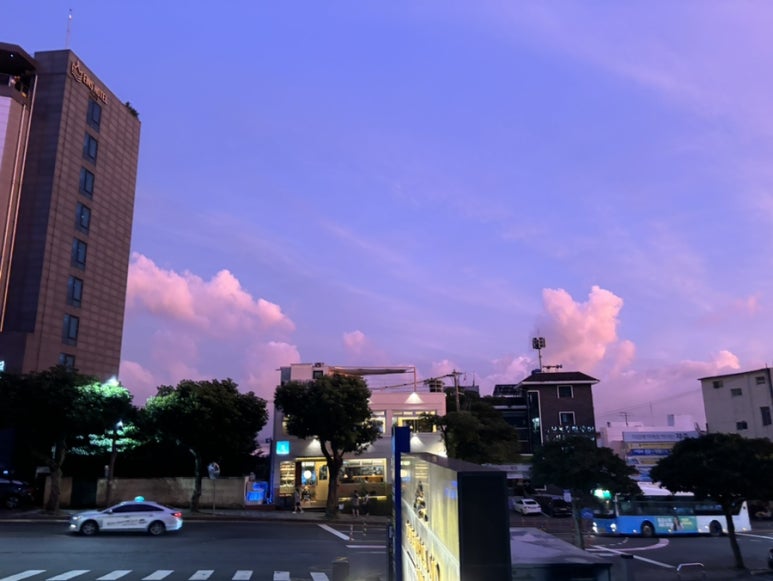 유동상회 이미지
