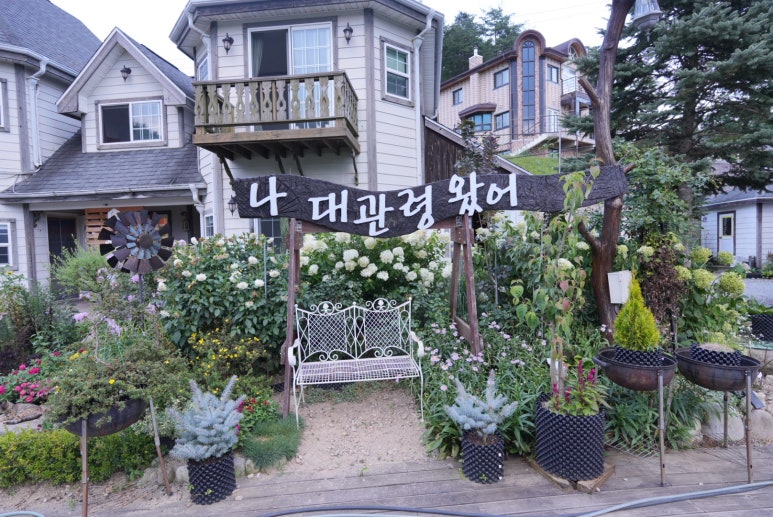나대관령왔어 이미지