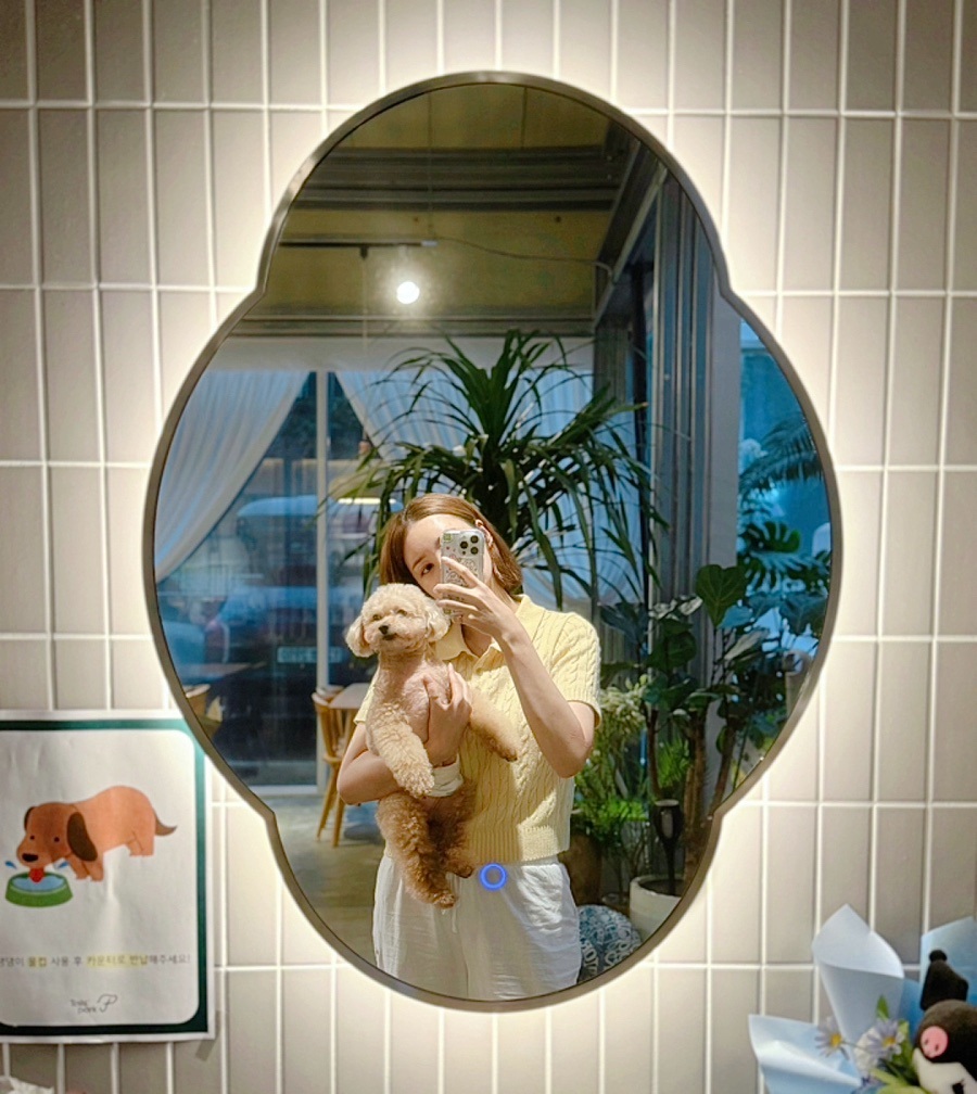 테일즈 파크 이미지