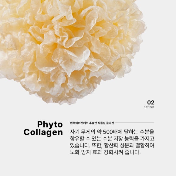 글로우에스테틱 이미지